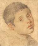 Allori Christofano Head of a Boy - Hermitage